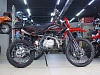 Питбайк Regulmoto SEVEN MEDALIST PRO 19/16 (Черный/красный, 201490-2)